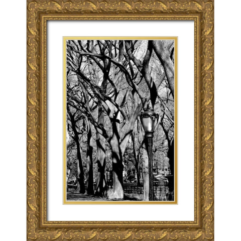 Central Park Forest Gold Ornate Wood Framed Art Print with Double Matting by Grey, Jace