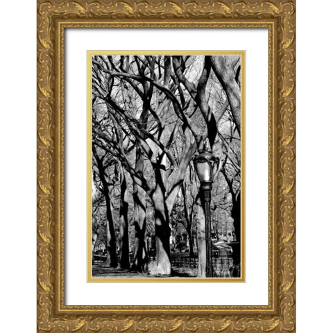 Central Park Image 1744 Gold Ornate Wood Framed Art Print with Double Matting by Grey, Jace