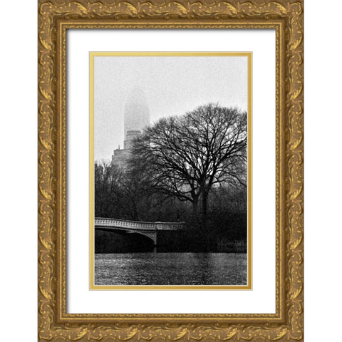 Central Park Bridge I Gold Ornate Wood Framed Art Print with Double Matting by Grey, Jace