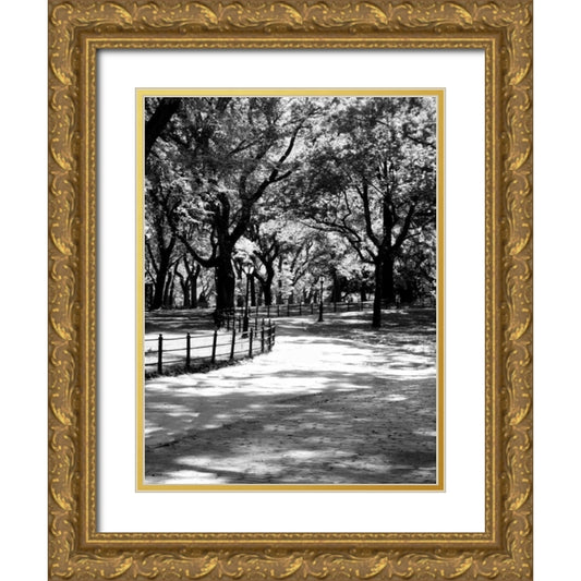 Perspective Image