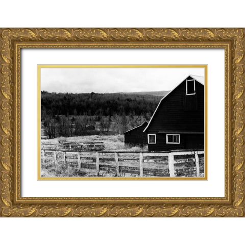 Rancher 2 Gold Ornate Wood Framed Art Print with Double Matting by Pica, Jeff