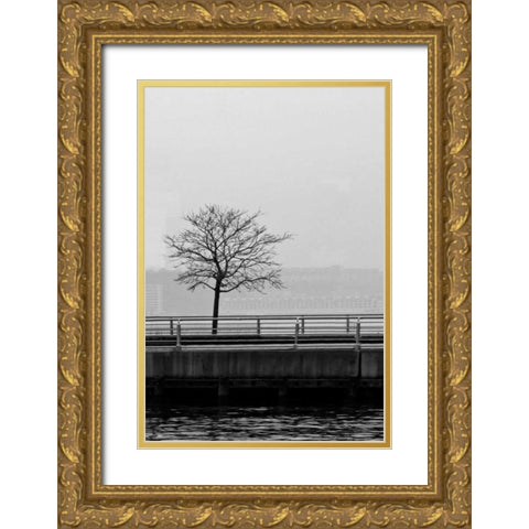Tree View 1 Gold Ornate Wood Framed Art Print with Double Matting by Pica, Jeff