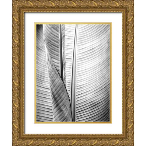 Metal BW Plant 1 Gold Ornate Wood Framed Art Print with Double Matting by Allen, Kimberly