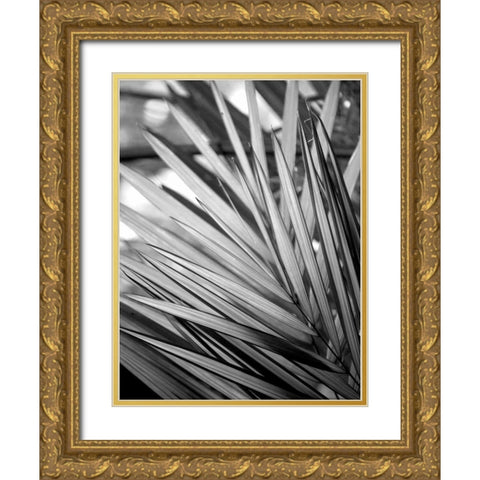 Metal BW Plant 2 Gold Ornate Wood Framed Art Print with Double Matting by Allen, Kimberly