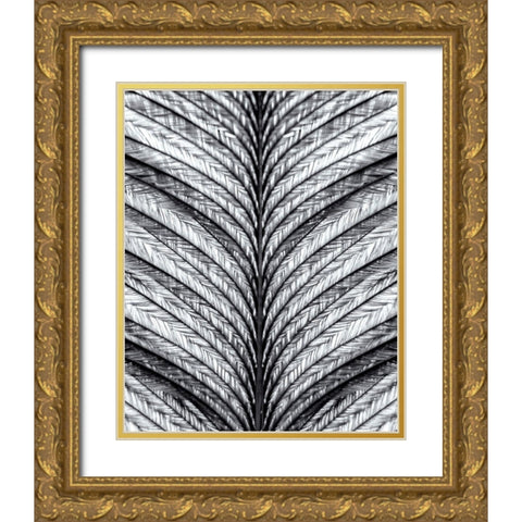Black and White Feather 1 Gold Ornate Wood Framed Art Print with Double Matting by Kimberly, Allen