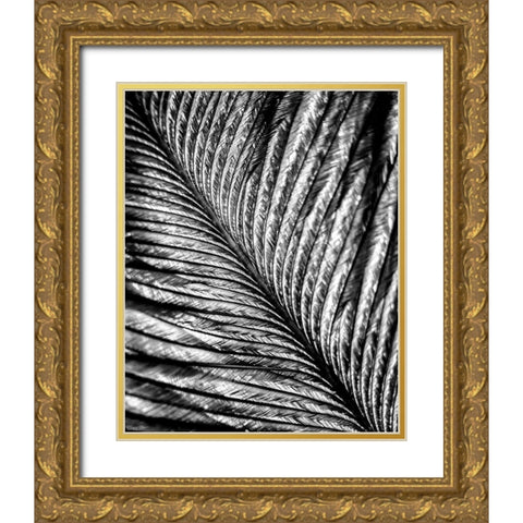 Black and White Feather 2 Gold Ornate Wood Framed Art Print with Double Matting by Kimberly, Allen