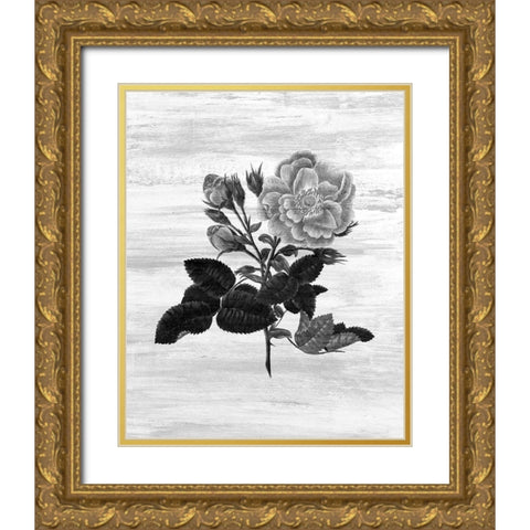 Botanical Flower 1 Gold Ornate Wood Framed Art Print with Double Matting by Kimberly, Allen