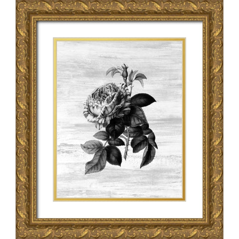 Botanical Flower 2 Gold Ornate Wood Framed Art Print with Double Matting by Kimberly, Allen