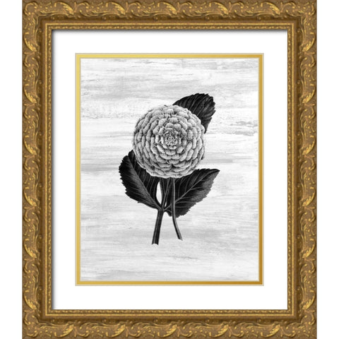 Botanical Flower 3 Gold Ornate Wood Framed Art Print with Double Matting by Kimberly, Allen