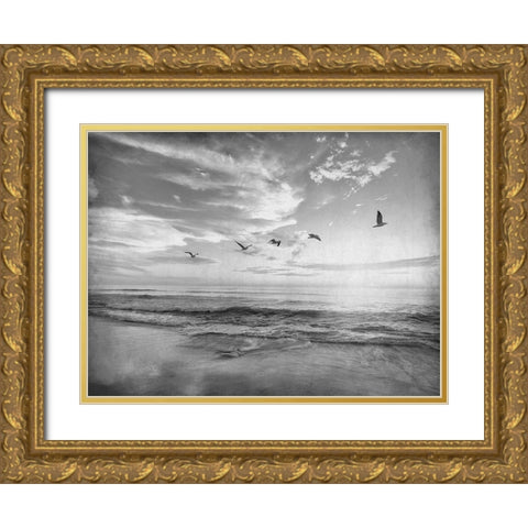 Soaring Above The Sea Gold Ornate Wood Framed Art Print with Double Matting by Kimberly, Allen