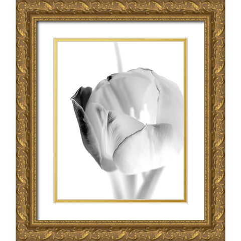Black and White Tulip 1 Gold Ornate Wood Framed Art Print with Double Matting by Kimberly, Allen