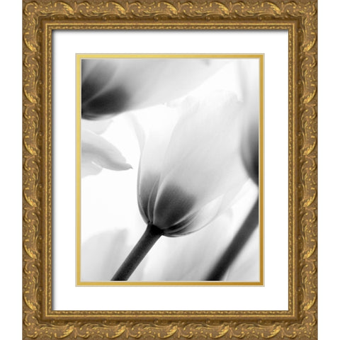 Black and White Tulip 2 Gold Ornate Wood Framed Art Print with Double Matting by Kimberly, Allen