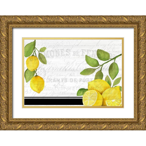 Fresh Lemons 7 Gold Ornate Wood Framed Art Print with Double Matting by Kimberly, Allen
