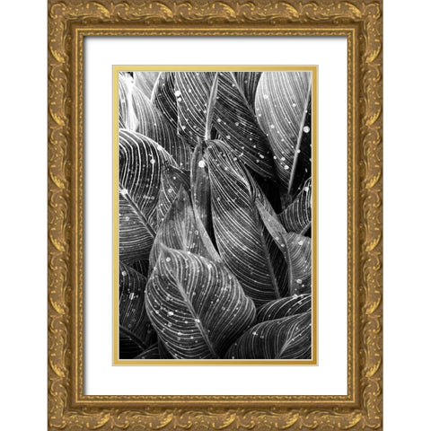 Midnight Palm Leaves 1 bw Gold Ornate Wood Framed Art Print with Double Matting by Allen, Kimberly