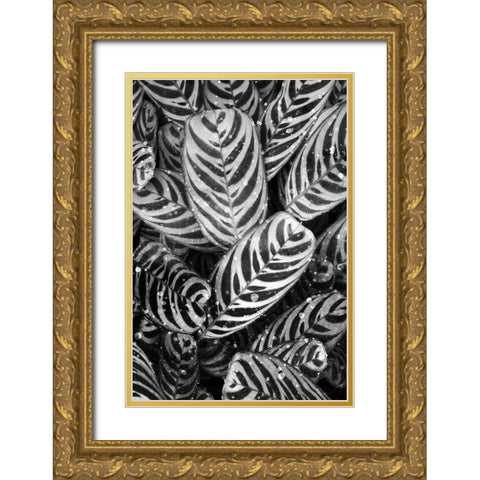 Midnight Palm Leaves 2 bw Gold Ornate Wood Framed Art Print with Double Matting by Allen, Kimberly