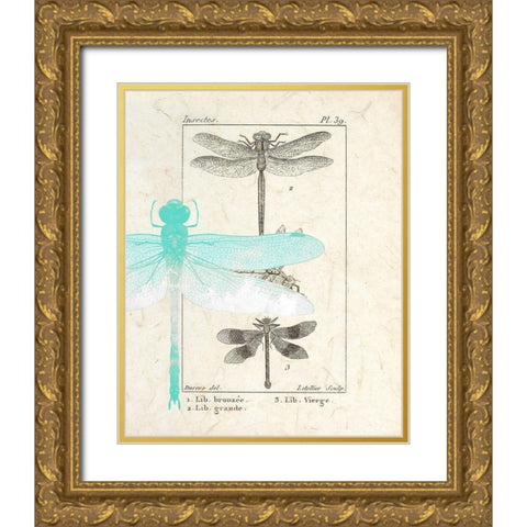 Field Guide 1 Gold Ornate Wood Framed Art Print with Double Matting by Allen, Kimberly