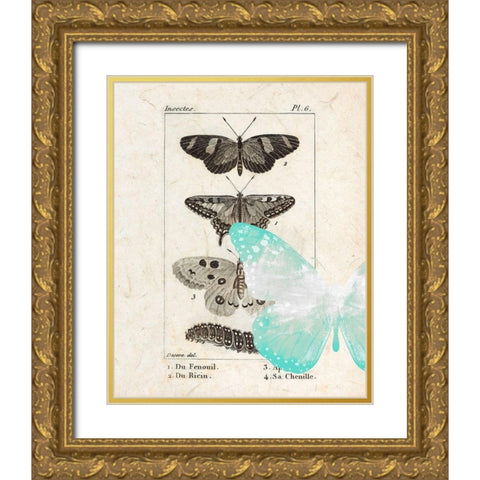 Field Guide 2 Gold Ornate Wood Framed Art Print with Double Matting by Allen, Kimberly