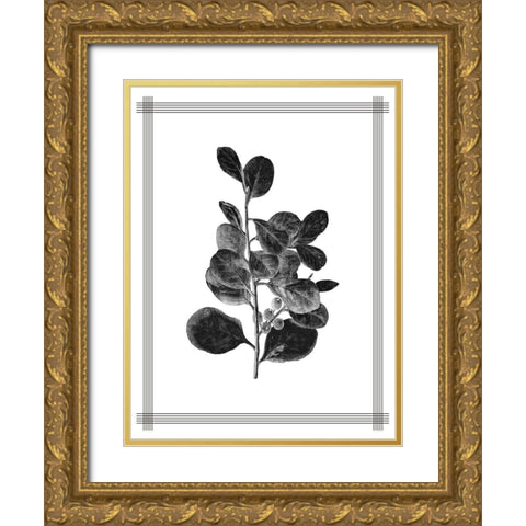 Pressed 1 Gold Ornate Wood Framed Art Print with Double Matting by Allen, Kimberly