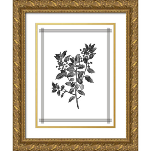 Pressed 2 Gold Ornate Wood Framed Art Print with Double Matting by Allen, Kimberly