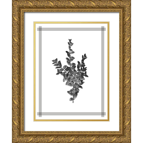 Pressed 4 Gold Ornate Wood Framed Art Print with Double Matting by Allen, Kimberly