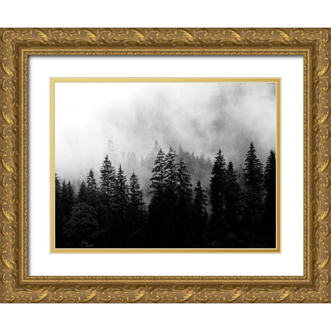 Foggy Morning Gold Ornate Wood Framed Art Print with Double Matting by Allen, Kimberly