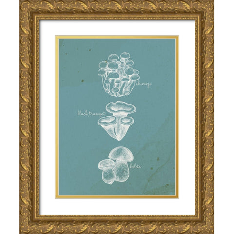 Mushroom Type 2 Gold Ornate Wood Framed Art Print with Double Matting by Allen, Kimberly