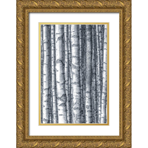 Birches 1 Gold Ornate Wood Framed Art Print with Double Matting by Allen, Kimberly