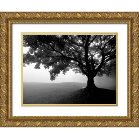 Early Morning Fog Gold Ornate Wood Framed Art Print with Double Matting by Allen, Kimberly