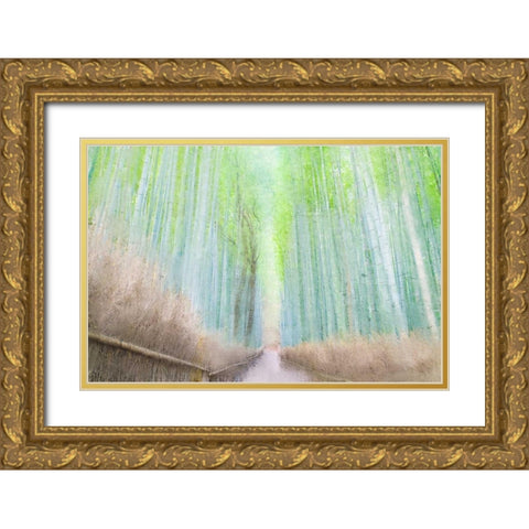 Down the Path Gold Ornate Wood Framed Art Print with Double Matting by Allen, Kimberly