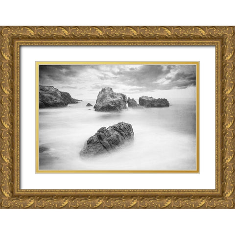 Ocean Dreams Gold Ornate Wood Framed Art Print with Double Matting by Kimberly, Allen
