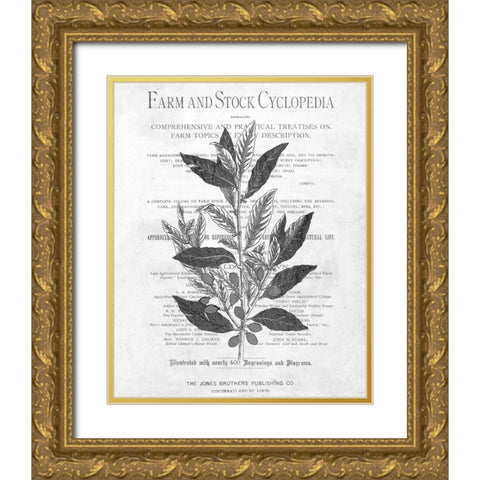 Defused Botanical 1 Gold Ornate Wood Framed Art Print with Double Matting by Kimberly, Allen