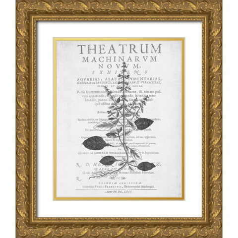 Defused Botanical 2 Gold Ornate Wood Framed Art Print with Double Matting by Kimberly, Allen
