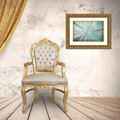 My View Up Gold Ornate Wood Framed Art Print with Double Matting by Kimberly, Allen