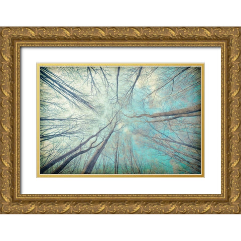My View Up Gold Ornate Wood Framed Art Print with Double Matting by Kimberly, Allen
