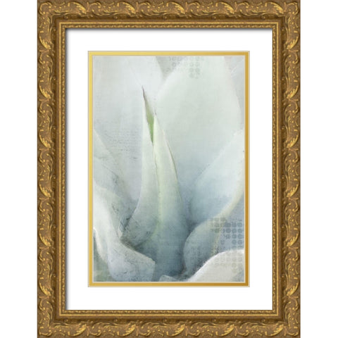 Agave 1 Gold Ornate Wood Framed Art Print with Double Matting by Kimberly, Allen