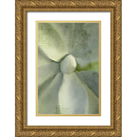 Agave 2 Gold Ornate Wood Framed Art Print with Double Matting by Kimberly, Allen