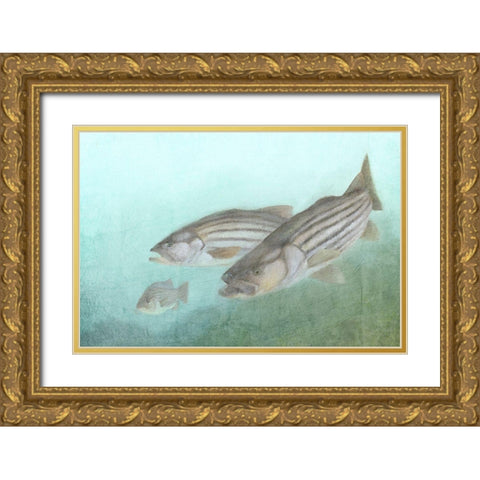 Fish Family Gold Ornate Wood Framed Art Print with Double Matting by Kimberly, Allen