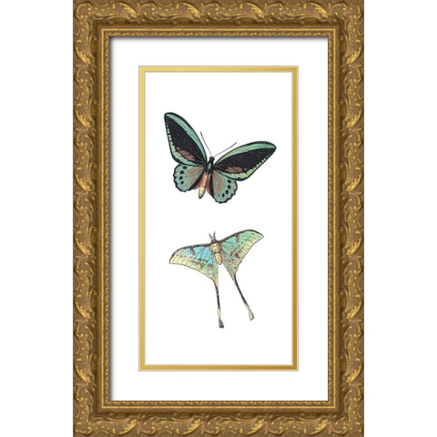 Fly Free 1 Gold Ornate Wood Framed Art Print with Double Matting by Kimberly, Allen