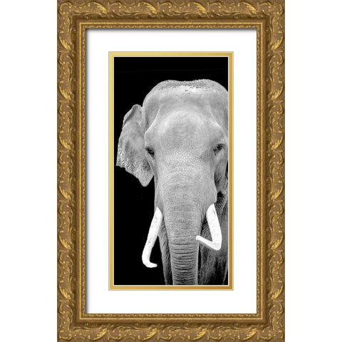Strong 2 Gold Ornate Wood Framed Art Print with Double Matting by Allen, Kimberly
