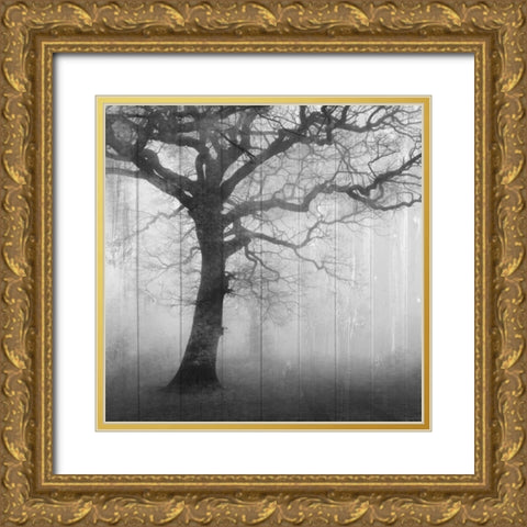In the Mist Gold Ornate Wood Framed Art Print with Double Matting by Allen, Kimberly