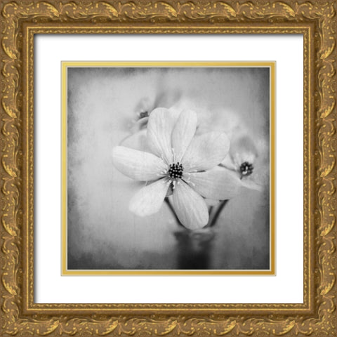 Blooms 1 Gold Ornate Wood Framed Art Print with Double Matting by Allen, Kimberly