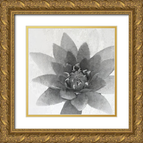 Lotus 1 Gold Ornate Wood Framed Art Print with Double Matting by Kimberly, Allen