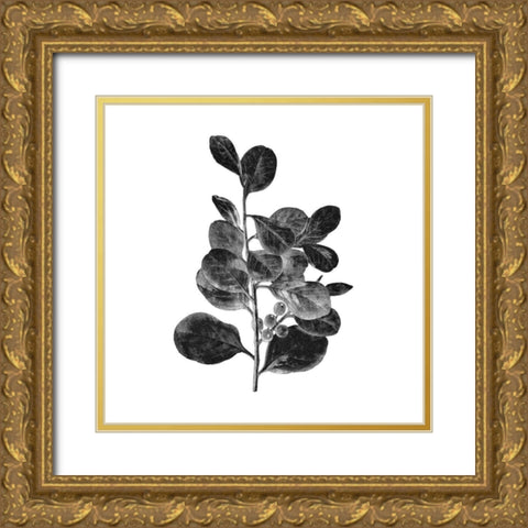 Botanical Black 1 Gold Ornate Wood Framed Art Print with Double Matting by Kimberly, Allen