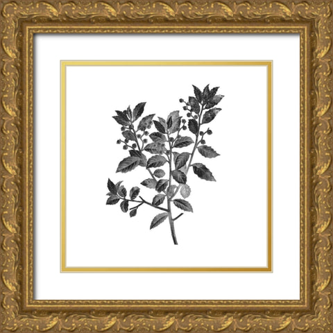 Botanical Black 2 Gold Ornate Wood Framed Art Print with Double Matting by Kimberly, Allen