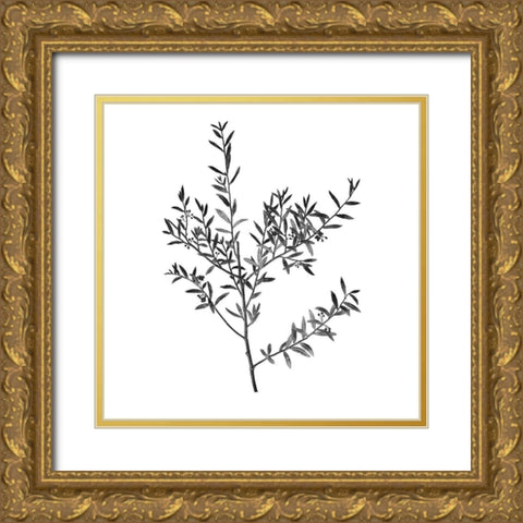 Botanical Black 3 Gold Ornate Wood Framed Art Print with Double Matting by Kimberly, Allen