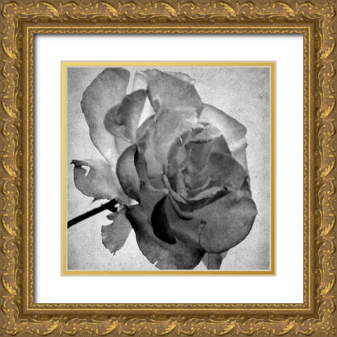 White Blooming 2 Gold Ornate Wood Framed Art Print with Double Matting by Kimberly, Allen