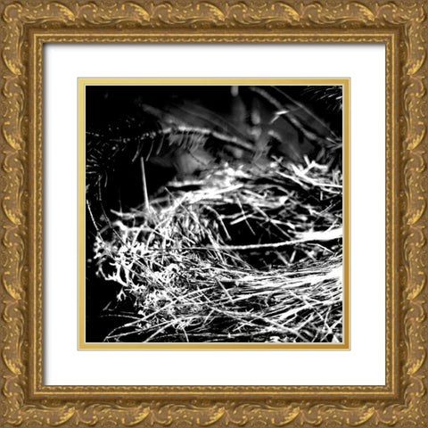 White Nest 1 Gold Ornate Wood Framed Art Print with Double Matting by Kimberly, Allen