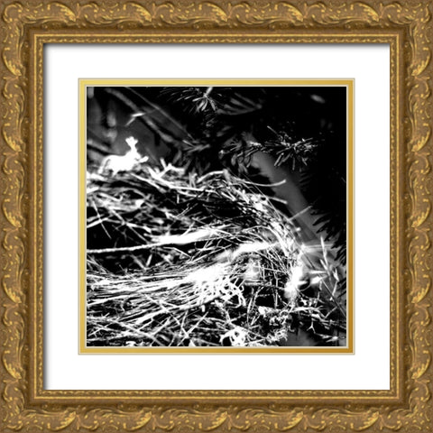 White Nest 2 Gold Ornate Wood Framed Art Print with Double Matting by Kimberly, Allen
