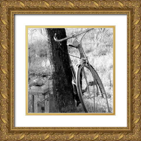 Out for a Ride Gold Ornate Wood Framed Art Print with Double Matting by Kimberly, Allen