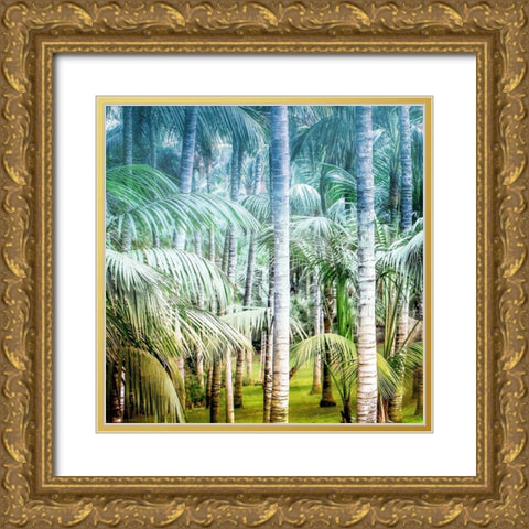 Palm Tree Forest 1 Gold Ornate Wood Framed Art Print with Double Matting by Kimberly, Allen
